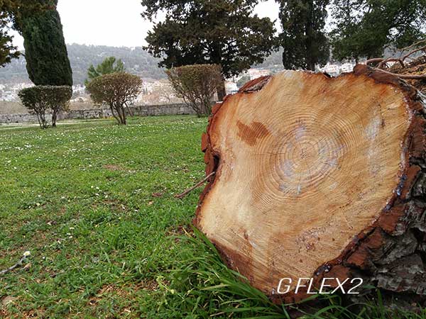 test-kamere-LG-G-Flex2-(1)