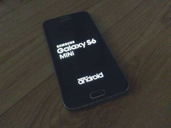 galaxy s6 mini pozira u mrčini