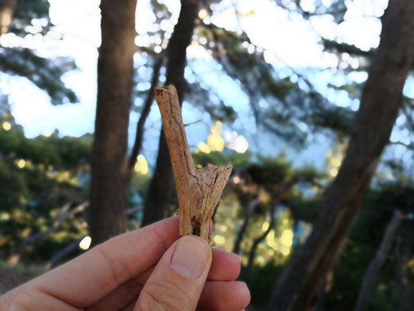 Huawei-P9-test-kamere-(27)