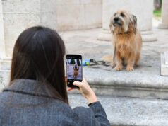 Dina Levačić: izdržljivost koja spaja svjetove